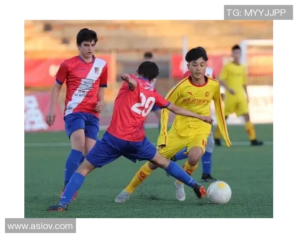 南京足球队在冠军赛中的战术分析与表现评估