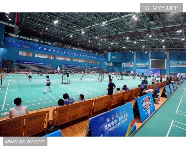 北京羽毛球队战术革新引发热议助力竞技水平提升与未来发展